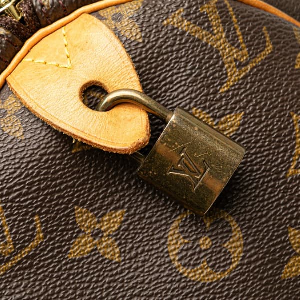 Pre-owned Louis Vuitton Monogram Speedy 30 Brown