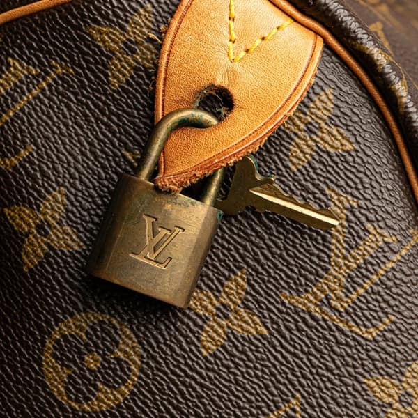 Pre-owned Louis Vuitton Monogram Speedy 40 Brown