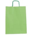 Pikkukuva 2 / 2: Laukut Fama Vaaleanvihreä Kahvoilla 125 g/m² 15 x 8 x 21 cm (25 osaa)
