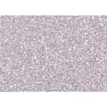Miniatyrbild 2 av 2: Papper Fama Silvrig 20 x 30 cm Glitter (10 antal)