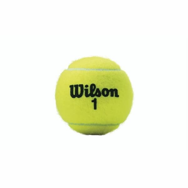 Tennisbolde Wilson Championship XD (3 pcs)