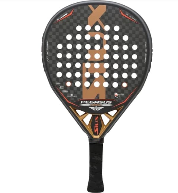 SIUX Pegasus revolution 12k - 2023