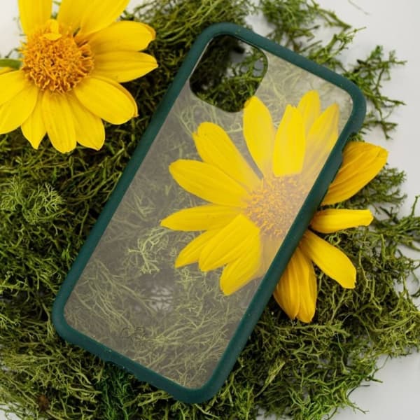 Pela Clear - Miljövänligt iPhone 11 skal
