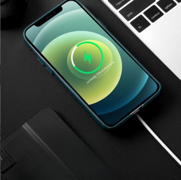 BOOM iPhone 11 Läderskal Magsafe - Rosa