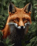 Pikkukuva 1 / 10: Numeroiden mukaan maalaussarja, Red Fox, 40x50