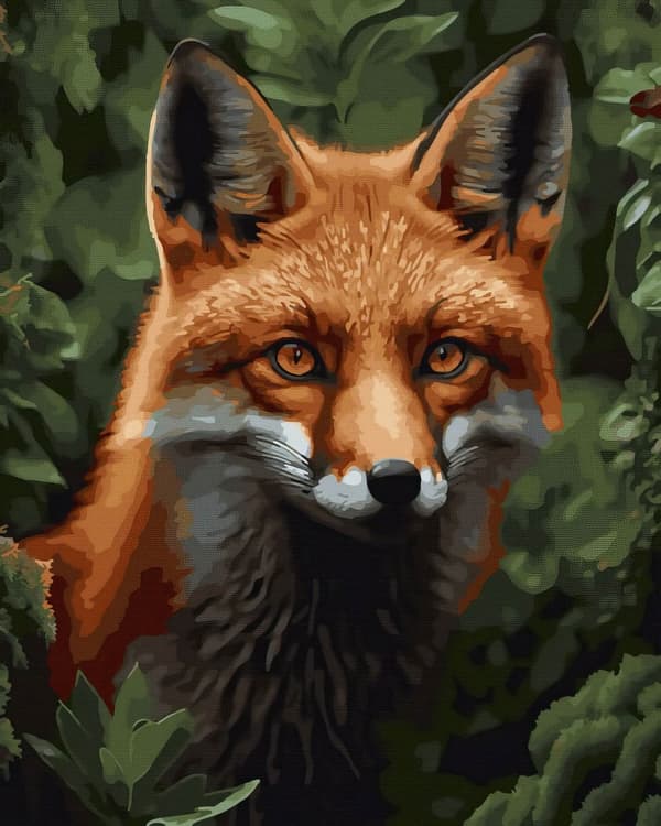 Numeroiden mukaan maalaussarja, Red Fox, 40x50