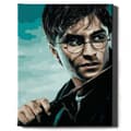 Miniatyrbillede 4 af 10: Malesæt efter tal Harry Potter og tryllestaven 40x50