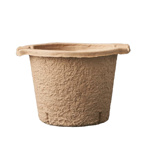 LickTools Wood Pulp Paint Kettle Beige 14.5cm x 20cm x 22cm