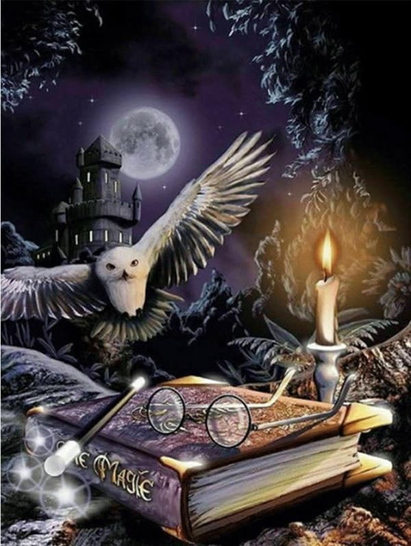 Diamond Painting 40x30 cm Trollkarl Harry Potter Diamantmålning