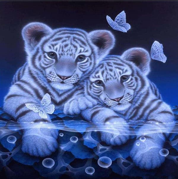 Diamond Painting 30x30 cm Tiger Tigrar Djur Diamantmålning DIY