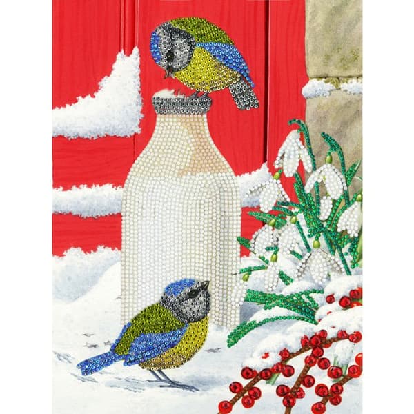 Kit för diamantbroderi 21x29cm Fåglar på snön