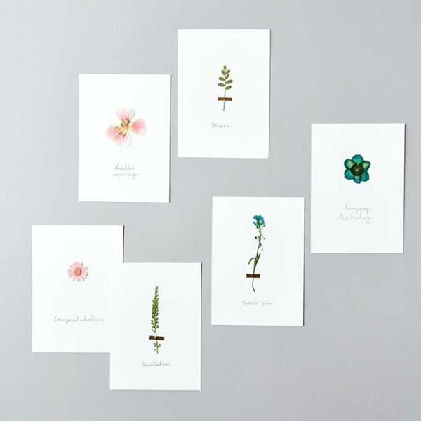 Pressade blommor - RICO DESIGN - Vattenkrasse - 9 cm - Årets dekorationstrend - Grön