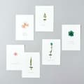 Miniatyrbild 3 av 3: Pressade blommor - RICO DESIGN - Vattenkrasse - 9 cm - Årets dekorationstrend - Grön