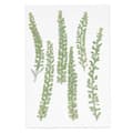 Miniatyrbild 2 av 3: Pressade blommor - RICO DESIGN - Vattenkrasse - 9 cm - Årets dekorationstrend - Grön