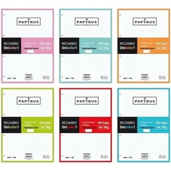 Papir Papyrus Unicolor Udskifter Orange A4 (24 enheder)