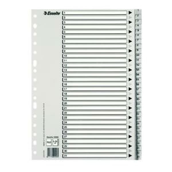 Faneblade Esselte Din A4 25 enheder 31 Ark