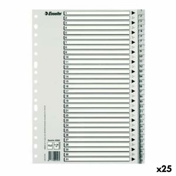 Faneblade Esselte Din A4 25 enheder 31 Ark