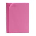 Pikkukuva 2 / 3: Eva-kumi Pincello 1804049-004 Pinkki 30 x 2 x 20 cm (24 osaa)