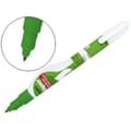 Pikkukuva 2 / 5: Peitekynä Paper Mate NP10 7 ml 12 osaa