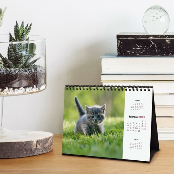 Skrivbordskalender Finocam GATITOS ENTRAÑABLES Multicolour Papper 21 x 15 cm 2025