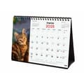 Miniatyrbild 4 av 7: Skrivbordskalender Finocam GATITOS ENTRAÑABLES Multicolour Papper 21 x 15 cm 2025