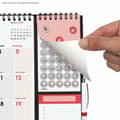Miniatyrbild 5 av 8: Väggkalender Finocam Papper 2025 21,5 x 32,5 cm
