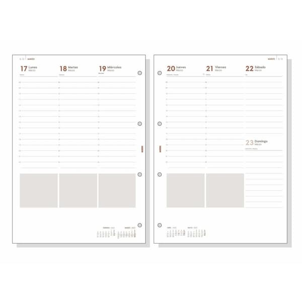 Påfyllning av agenda Finocam R4099 4000 A4 2025 21 x 29,7 cm