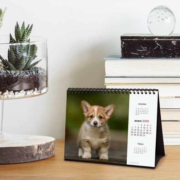 Skrivebordskalender Finocam CACHORROS CARIÑOSOS Multifarvet Papir 21 x 15 cm 2025
