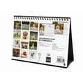 Miniatyrbillede 6 af 7: Skrivebordskalender Finocam CACHORROS CARIÑOSOS Multifarvet Papir 21 x 15 cm 2025
