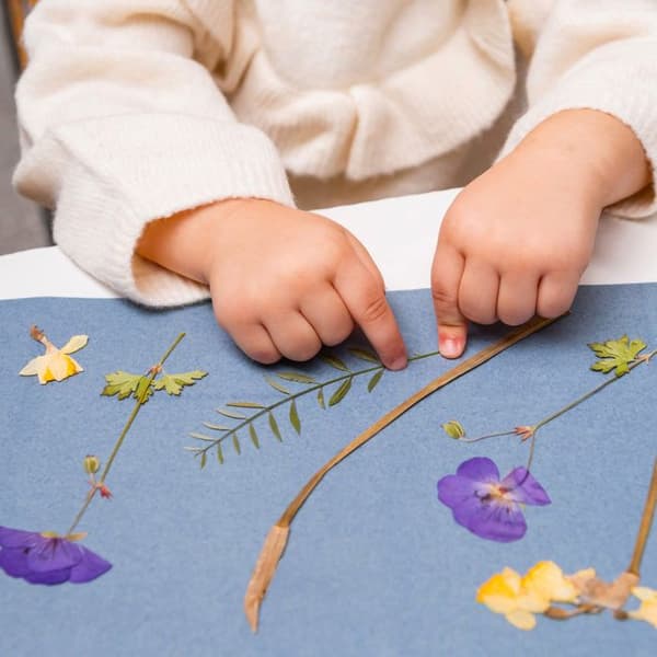 Esschert Design - DIY Solar Photo Paper A5