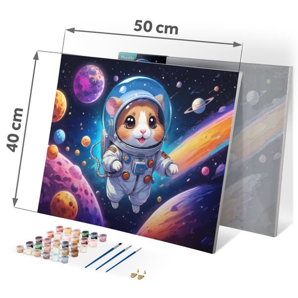 Billede til at male efter tal 40x50 cm Massido Astronauta