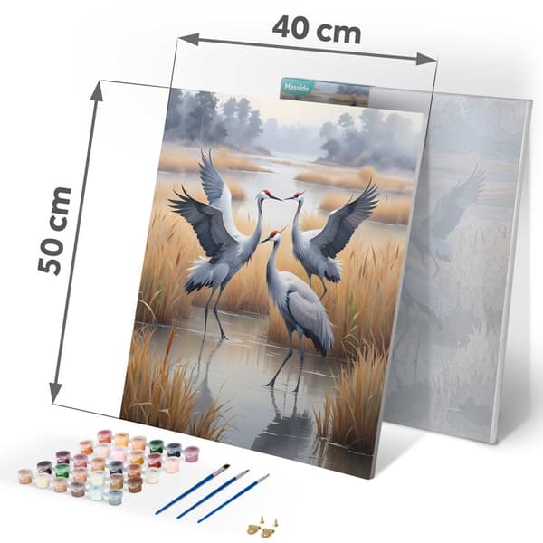 Billede til at male efter tal 40x50 cm Massido kraner