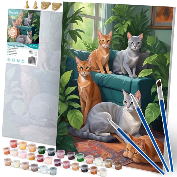 Kuva maalattava numeroilla 40x50 cm Massido Cats