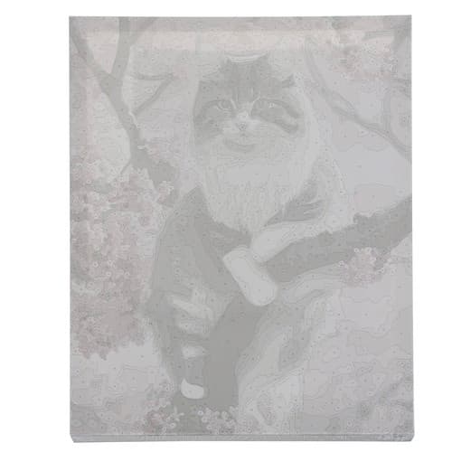 Paint By Number Set | Pensler, maling og lerret på treramme | Katt 40x50cm
