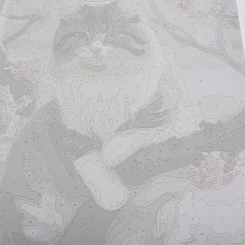 Paint By Number Set | Pensler, maling og lerret på treramme | Katt 40x50cm