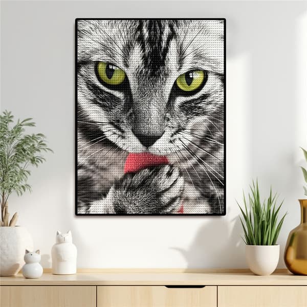 5D Diamond Painting – Svartvit Katt med Röd Leksak DIY Pärlkonst för Vuxna & Nybörjare, 30x40cm, Heminredning