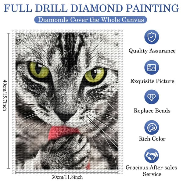 5D Diamond Painting – Svartvit Katt med Röd Leksak DIY Pärlkonst för Vuxna & Nybörjare, 30x40cm, Heminredning