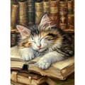 Pikkukuva 1 / 7: Bomclap Cat Diamond Kit Adults – 5D-nukkuva kissa Resingeminesillä! DIY Knitting Power – Hemmawall Sisustus & Lahja 30x40cm