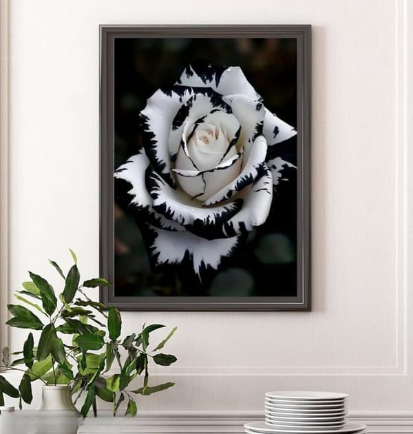 Bomclap hvid rose diamantmaleri - fuld boremaskine DIY diamantkunst 30x40 cm vægdekoration