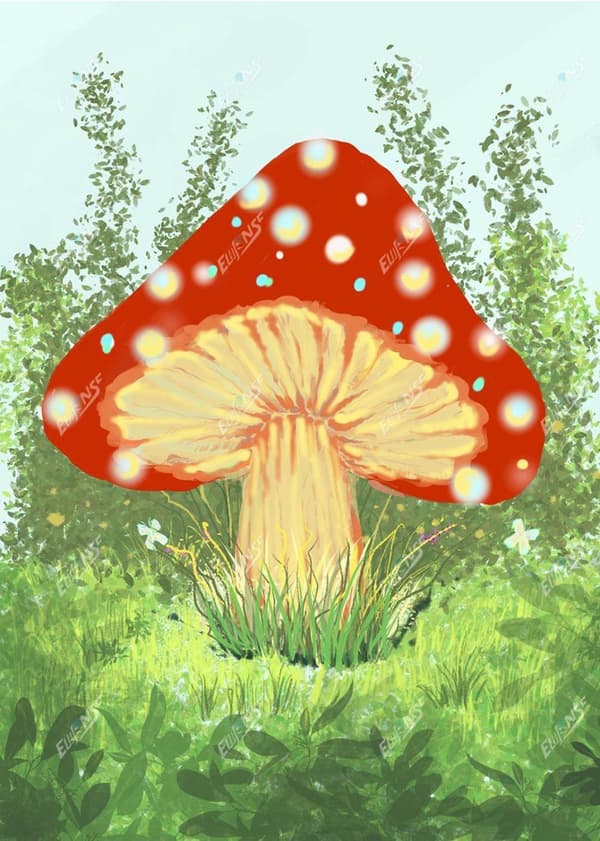 Bomclap Mushroom Diamond Art 30x40 cm | Täysi pyöreä poranterä 5D-maalaus | Helmisarjat aloittelijoille ja kotiin