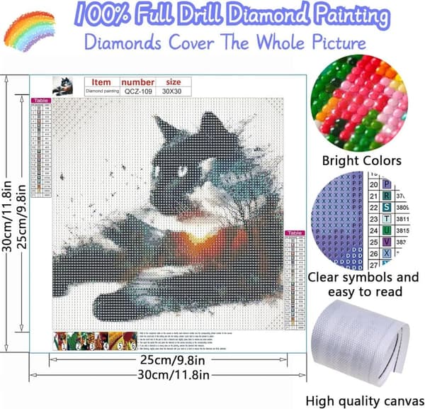 Bomclap Sort Kat Landskabskunst - 5D Fuld Drill Diamantmaleri til Hjemmet, 30x30 cm
