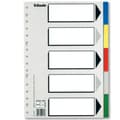 Miniatyrbild 2 av 2: Separatorer Esselte 5 ark Multicolour Din A4 (100 antal)