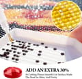 Miniatyrbillede 7 af 9: Bomclap Aurora Diamond Art Set Voksne - Snow Mountain Lake 5D Diamantmaleri Begynder, Fantastisk Landskab Fuld Drill DIY 30x40 cm Vægdekoration