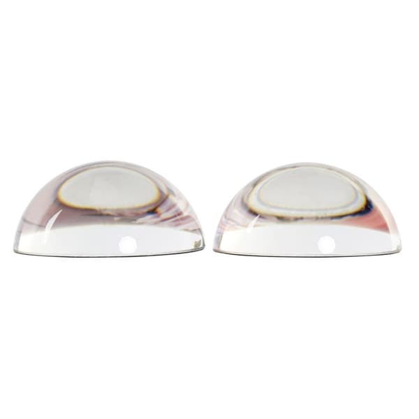 Brevpress DKD Home Decor Glas (2 antal)