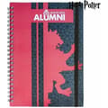 Miniatyrbild 11 av 11: Bok med ringar Harry Potter Bordeaux