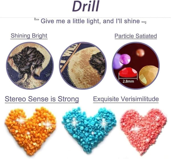 OBOSOE 5D Diamantmaleri – Sort Kat i Farverig Blomstereng DIY Diamantmaleri 30x40 cm