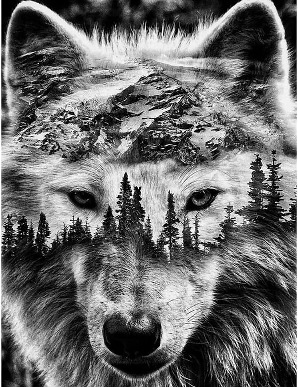 OBOSOE Diamond Painting - 5D-tee-se-itse-timanttimaalaus, 30x40cm (kaksoisvalokuvaus susi ja luonto)