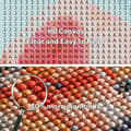 Miniatyrbillede 7 af 8: OBOSOE Diamantmaling & Diamantmaling – 5D Fuld Drill DIY Kit (30×30 cm), julemand med lastbil og sukkulenter