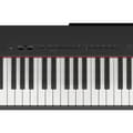 Miniatyrbillede 3 af 3: Tastatur YAMAHA P223B