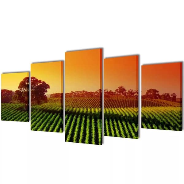 vidaXL Taulusarja Pellot 200 x 100 cm